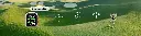59.webp